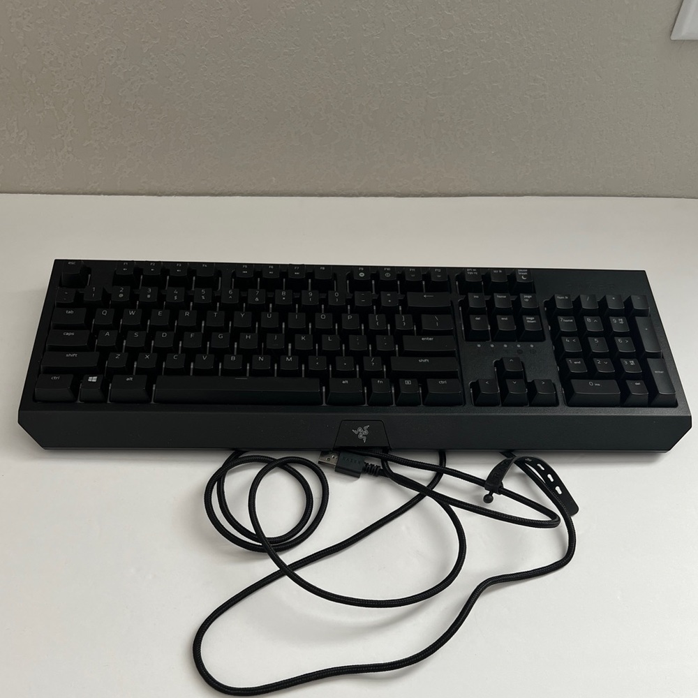 Razer BlackWidow Wired Gaming Mechanical Green Switch Keyboard Keyboard - Black